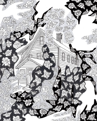 Domestic Camouflage 2